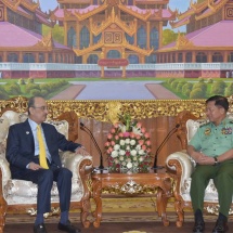 တပ်မတော်ကာကွယ်ရေးဦးစီးချုပ် ဗိုလ်ချုပ်မှူးကြီး မင်းအောင်လှိုင် မြန်မာနိုင်ငံဆိုင်ရာ ကာတာနိုင်ငံသံအမတ်ကြီးအား လက်ခံတွေ့ဆုံ