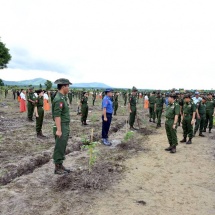 သစ်ပင်များစိုက်ပျိုးခြင်းသည် ရာသီဥတုအားအထောက်အကူဖြစ်စေရန်၊ အရိပ်အာဝါသရရှိစေရန်၊ ရတနာတန်းဝင်နှစ်ရှည်သီးပင်စားပင်များအား ဝင်ငွေရစေရန် ရည်ရွယ်၍စိုက်ပျိုးနေခြင်းဖြစ်