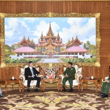 Senior General Min Aung Hlaing receives Ambassador of Israel H.E. Mr. Ronen Gilor