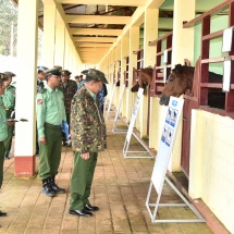 Senior General Min Aung Hlaing inspects Livestock Breeding and Training Battalion in Bahtoo Station 