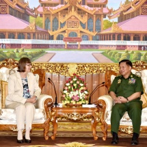 Senior General Min Aung Hlaing receives German Ambassador to Myanmar H.E. Mrs. Dorothee Janetzke-Wenzel