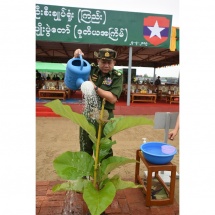 Families of the Office of the Commander-in-Chief(Army, Navy and Air), military command headquarters hold second monsoon tree-planting ceremonies