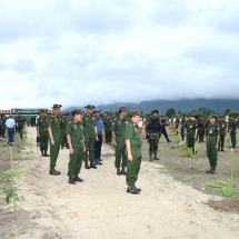 နိုင်ငံအတွက်လိုအပ်ချက်ဖြစ်သော သဘာဝပတ်ဝန်းကျင်ထိန်းသိမ်းရေးအတွက် ကာကွယ်ရေး ဦးစီးချုပ်ရုံး(ကြည်း၊ရေ၊လေ) မိသားစုများနှင့် တိုင်းစစ်ဌာနချုပ်များ အသီးသီးတို့ ၂၀၁၉ ခုနှစ်၊ မိုးရာသီတစ်အုပ်တစ်မသစ်ပင်စိုက်ပျိုးပွဲများ တတိယအကြိမ်ကျင်းပပြုလုပ်၊ တပ်မတော် ရဟတ်ယာဉ် များဖြင့်လည်း သစ်ပင်မျိုးစေ့များ ဝေဟင်မှကြဲချစိုက်ပျိုးပေးခဲ့