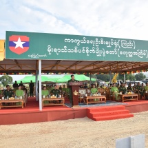 တပ်မတော်တစ်ရပ်လုံးအနေဖြင့် ၂၀၁၁ ခုနှစ်မှစ၍ ၂၀၁၉ ခုနှစ်အထိ သစ်ပင်မျိုးစုံ ၁၂ သန်း ၇ သိန်း ကျော် စိုက်ပျိုးခဲ့ပြီး ၁၀ သန်းကျော်ရှင်သန်ဖြစ်ထွန်း၊ စိုက်ပျိုးထားသည့် သစ်ပင်များ၊ သစ်တောများ ရှင်သန်ဖြစ်ထွန်းအောင် ပြုစုထိန်းသိမ်းခြင်းဖြင့် နောင်လာ နောက်သားများအတွက် အကျိုးရှိအောင် ဆောင်ရွက်ကြရန်လို