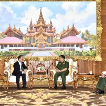 တပ်မတော်ကာကွယ်ရေးဦးစီးချုပ် ဗိုလ်ချုပ်မှူးကြီး မင်းအောင်လှိုင်  မြန်မာနိုင်ငံဆိုင်ရာ နီပေါနိုင်ငံ သံအမတ်ကြီးအား လက်ခံတွေ့ဆုံ(ရုပ်သံသတင်း)