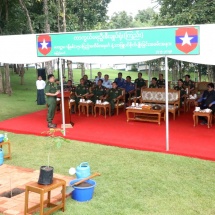 Sandalwood planted in honour of 150th birth anniversary of Mahatma Gandhi, pioneer of global peace