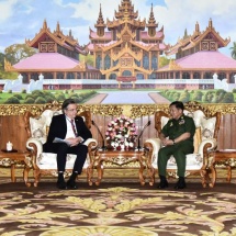 Senior General Min Aung Hlaing receives German Ambassador