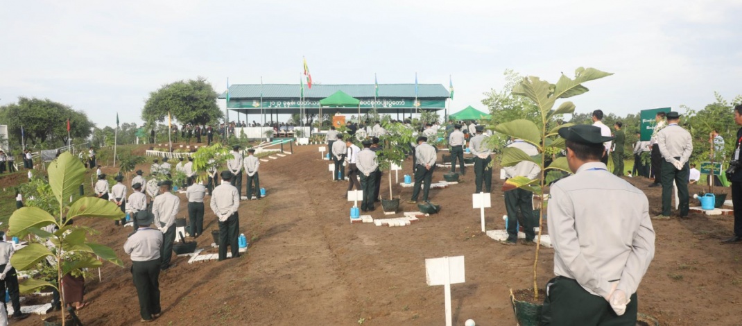 Chairman of State Administration Council Prime Minister Senior General Min Aung Hlaing plants gangaw tree at third monsoon tree planting ceremony for 2023 held in Nay Pyi Taw Union Territory