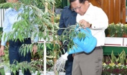 နိုင်ငံတော်စီမံအုပ်ချုပ်ရေးကောင်စီဥက္ကဋ္ဌ နိုင်ငံတော်ဝန်ကြီးချုပ် ဗိုလ်ချုပ်မှူးကြီးမင်းအောင်လှိုင် ပြည်ထောင်စုနယ်မြေ၊ နေပြည်တော် ၂၀၂၅ ခုနှစ်၊ ပထမအကြိမ် မိုးရာသီသစ်ပင်စိုက်ပျိုးပွဲသို့ တက်ရောက်၍ ကံ့ကော်ပျိုးပင်အား ဦးဆောင်စိုက်ပျိုးပေး