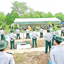 13 arid districts hold monsoon tree-planting ceremonies for 2025 through mass movements Chairman of State Administration Council Prime Minister Senior General  Min Aung Hlaing takes part in a ceremony and plants a tamar sapling