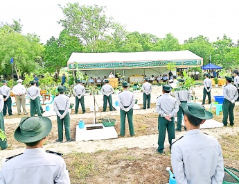 13 arid districts hold monsoon tree-planting ceremonies for 2025 through mass movements Chairman of State Administration Council Prime Minister Senior General  Min Aung Hlaing takes part in a ceremony and plants a tamar sapling