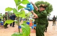ကာကွယ်ရေးဦးစီးချုပ်ရုံး(ကြည်း၊ ရေ၊ လေ)မိသားစုများ၏၂၀၂၅ ခုနှစ် ဒုတိယအကြိမ် မိုးရာသီ သစ်ပင် စိုက်ပျိုးပွဲကျင်းပပြုလုပ်