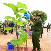 ကာကွယ်ရေးဦးစီးချုပ်ရုံး(ကြည်း၊ ရေ၊ လေ)မိသားစုများ၏၂၀၂၅ ခုနှစ် ဒုတိယအကြိမ် မိုးရာသီ သစ်ပင် စိုက်ပျိုးပွဲကျင်းပပြုလုပ်