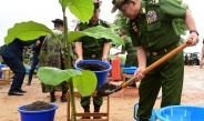Families of the Office of the Commander-in-Chief (Army, Navy and  Air) hold second monsoon tree-planting ceremony for 2025