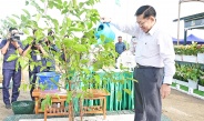 နိုင်ငံတော်စီမံအုပ်ချုပ်ရေးကောင်စီဥက္ကဋ္ဌ နိုင်ငံတော်ဝန်ကြီးချုပ်  ဗိုလ်ချုပ်မှူးကြီး မင်းအောင်လှိုင် ပြည်ထောင်စုနယ်မြေ နေပြည်တော် ၂၀၂၅ ခုနှစ် ဒုတိယအကြိမ် မိုးရာသီသစ်ပင်စိုက်ပျိုးပွဲသို့ တက်ရောက်၍ ခရေပျိုးပင်အား ဦးဆောင်စိုက်ပျိုးပေး