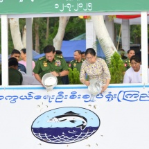 ကာကွယ်ရေးဦးစီးချုပ်ရုံး(ကြည်း၊ ရေ၊ လေ) မိသားစုများ၏  ၂၀၂၅ ခုနှစ်၊ မိုးရာသီ ငါးမျိုးစိုက်ထည့်ခြင်းအခမ်းအနားကျင်းပပြုလုပ်