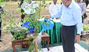 မကွေးတိုင်းဒေသကြီး၊ မင်းဘူးခရိုင်၊ မင်းဘူးမြို့နယ်၊ အပူပိုင်းဒေသ(၁၃)ခရိုင်  စိမ်းလန်းစိုပြည်ရေး၊ ၂၀၂၅ ခုနှစ် နိုင်ငံတော်အဆင့် ဒုတိယအကြိမ် လူထုလှုပ်ရှားမှုအသွင်ဖြင့် သစ်ပင်စိုက်ပျိုးပွဲကျင်းပပြုလုပ် နိုင်ငံတော်လုံခြုံရေးနှင့်အေးချမ်းသာယာရေးကော်မရှင်ဥက္ကဋ္ဌ  ဗိုလ်ချုပ်မှူးကြီးမင်းအောင်လှိုင်  တက်ရောက်၍ တမာပျိုးပင်အား ဦးဆောင်စိုက်ပျိုးပေး