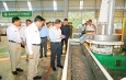 SSPC Chairman Commander-in-Chief of Defence Services Senior General Min Aung Hlaing inspects the Paper Mill (Thabaung) 